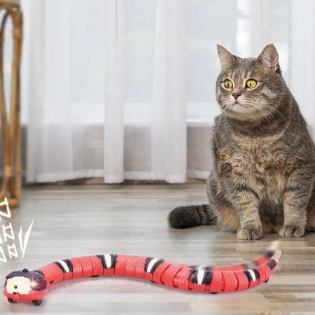 Chat méfiant face à un jouet serpent pour chat équipé de capteurs.