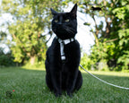 MiaouSafe™ – Harnais Anti-Évasion Ajustable pour Chat