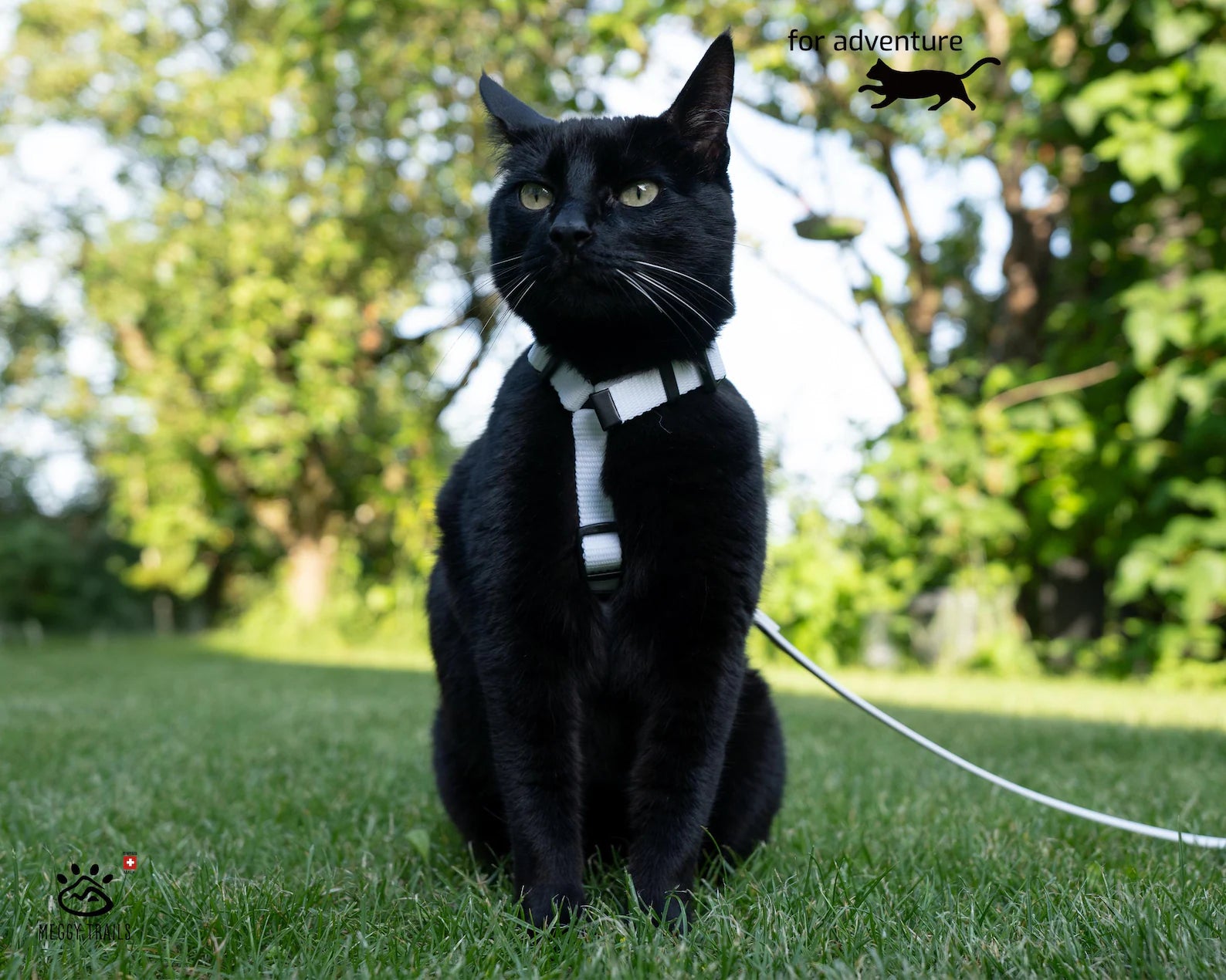 MiaouSafe™ – Harnais Anti-Évasion Ajustable pour Chat