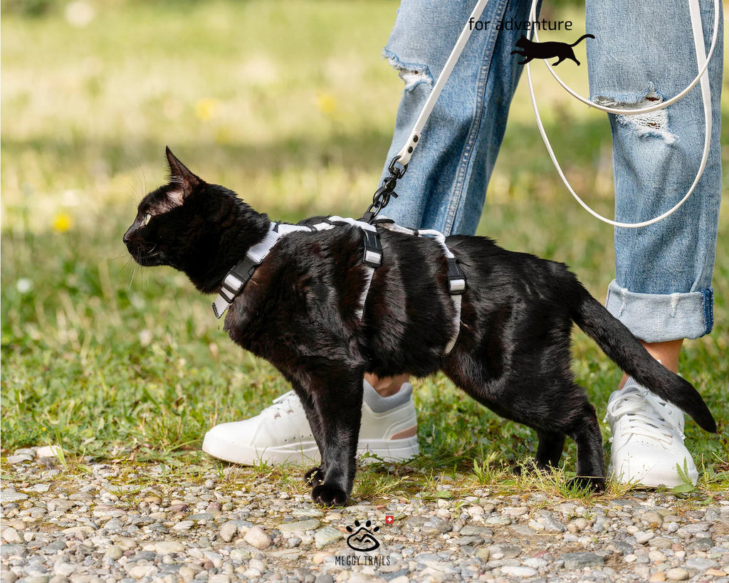 MiaouSafe™ – Harnais Anti-Évasion Ajustable pour Chat